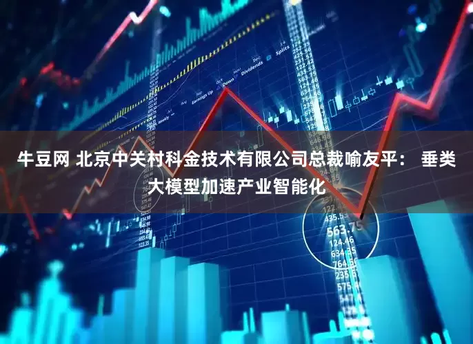牛豆网 北京中关村科金技术有限公司总裁喻友平： 垂类大模型加速产业智能化