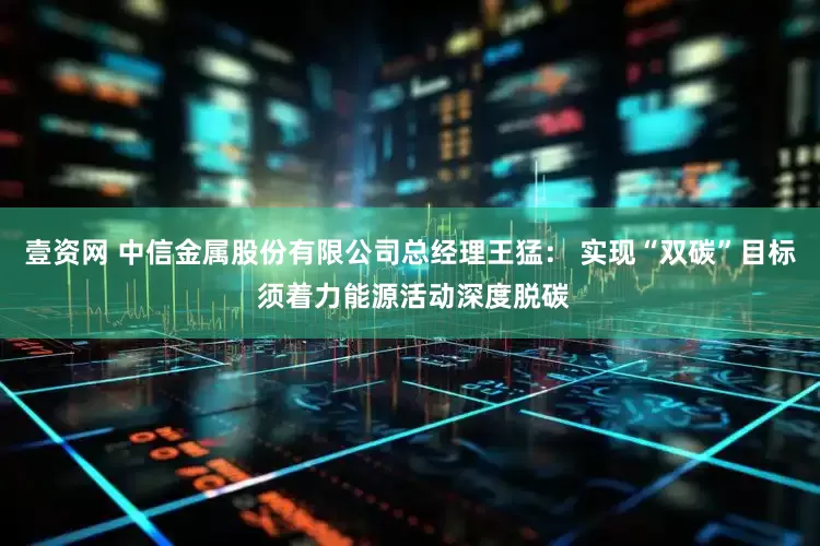 壹资网 中信金属股份有限公司总经理王猛： 实现“双碳”目标 须着力能源活动深度脱碳