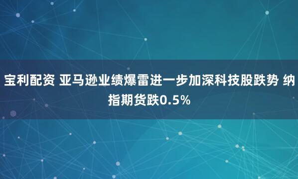 宝利配资 亚马逊业绩爆雷进一步加深科技股跌势 纳指期货跌0.5%