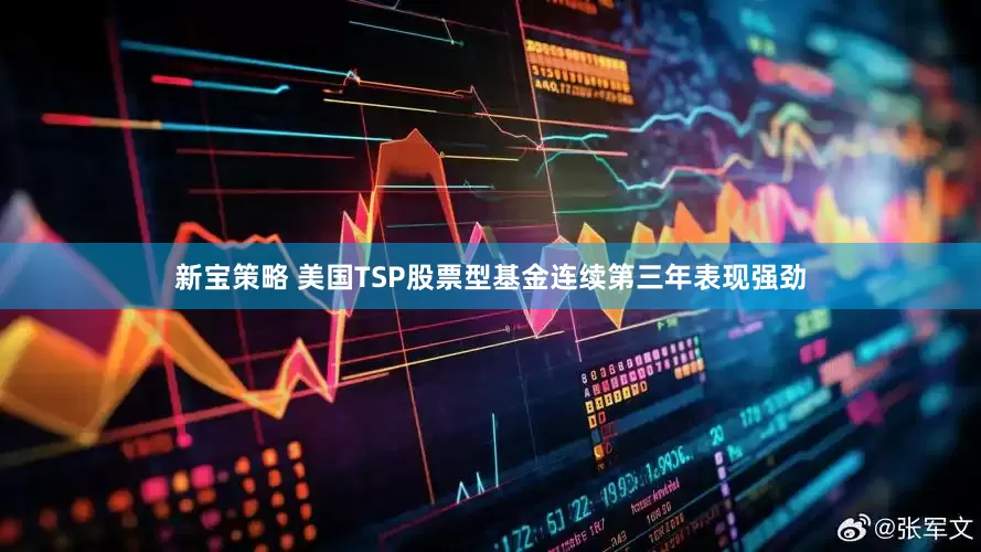 新宝策略 美国TSP股票型基金连续第三年表现强劲