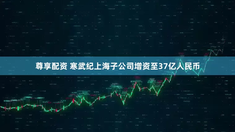 尊享配资 寒武纪上海子公司增资至37亿人民币