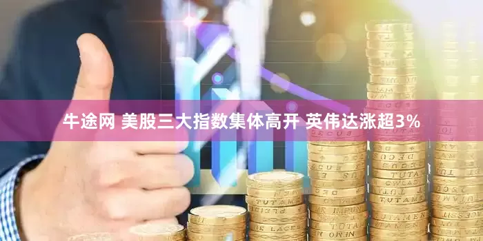 牛途网 美股三大指数集体高开 英伟达涨超3%